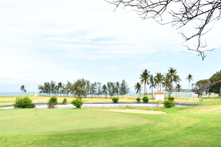 The Course